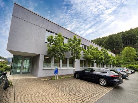Büro-/Praxisfläche zum Kauf Schönau 69250