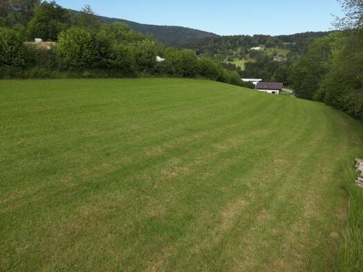 Grundstück zum Kauf 166.000 € 2.674 m² Grundstück Thalberg Wegscheid 94110