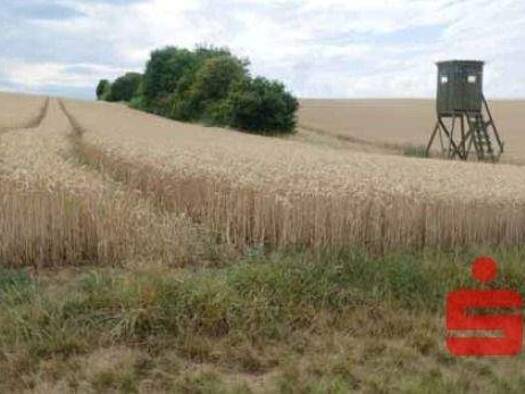 Land-/Forstwirtschaft zum Kauf provisionsfrei 43.000 € 6.813 m² Grundstück Dettelbach 97337