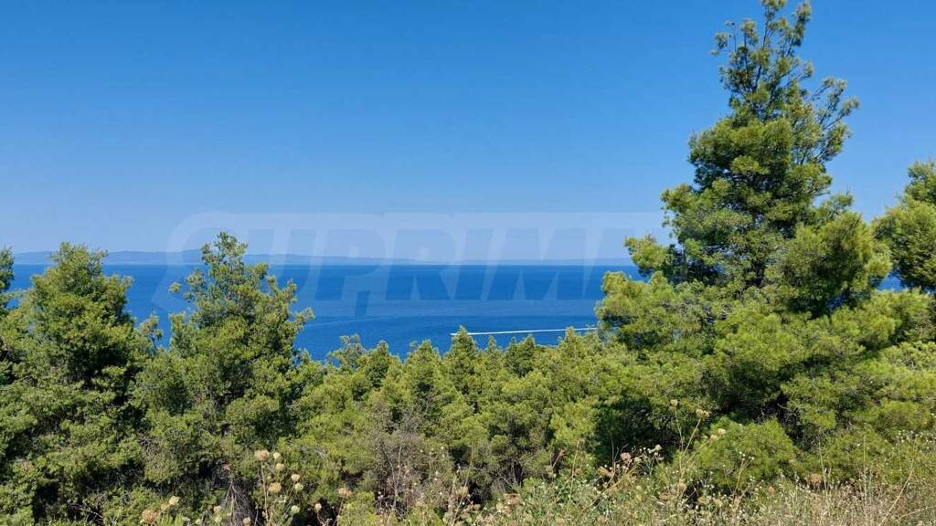 Landwirtschaftliche Fläche zum Kauf 300.000 € Nea Fokea