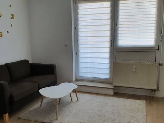 Wohnung zur Miete 550 € 1 Zimmer 33 m² 1. Geschoss frei ab 01.03.2026 Hans-Vogel-Straße 136 Poppenreuth Fürth 90765