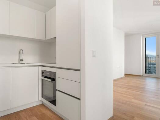 Wohnung zur Miete - Erstbezug 1.317 € 2 Zimmer 45 m² 11. Geschoss Donau-City-Straße 8a Donaustadt 1220
