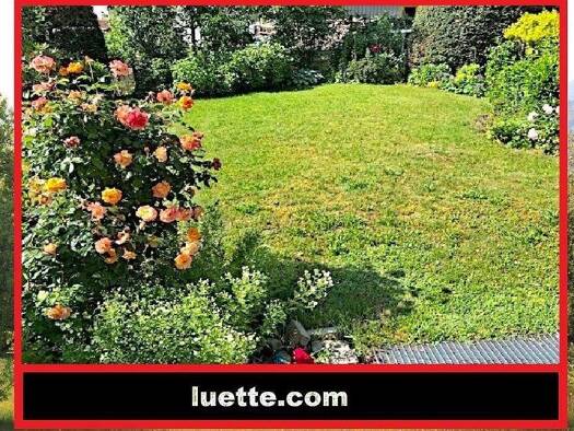 Haus zum Kauf 390.000 € 7,5 Zimmer 154 m² 386 m² Grundstück Görwihl 79733