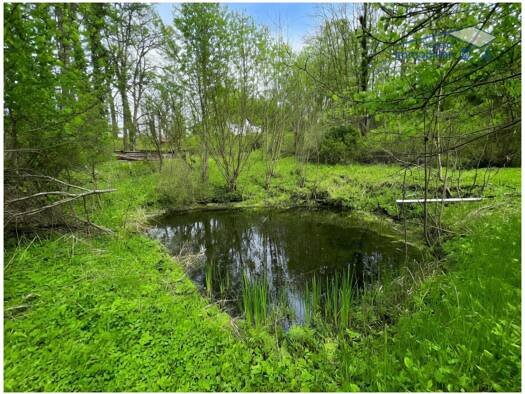 Freizeitgrundstück zum Kauf 65.000 € 5.841 m² Grundstück frei ab sofort Waltenberg Ebershausen 86491