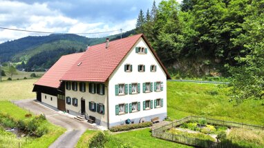 Bauernhaus zum Kauf 590.000 € 9 Zimmer 279 m² 9.154 m² Grundstück Bürchau Kleines Wiesental 79692