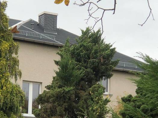 Mehrfamilienhaus zum Kauf provisionsfrei 980.000 € 15 Zimmer 450 m² 780 m² Grundstück Coschütz/Gittersee Ortsamtsbereich Plauen 01189