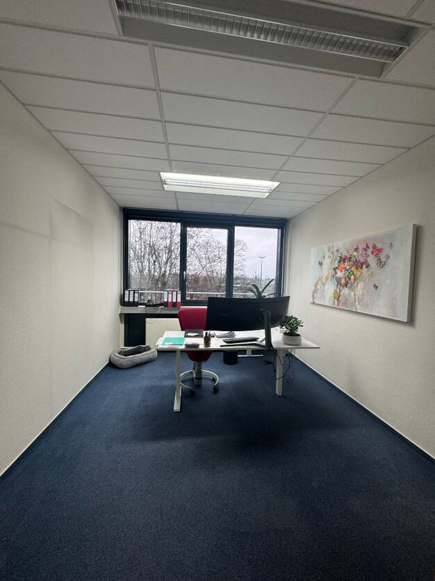 Bürofläche zur Miete provisionsfrei 3.400 € 600 m² Bürofläche Magdeburger Straße Nördliche Innenstadt Halle (Saale) 06112