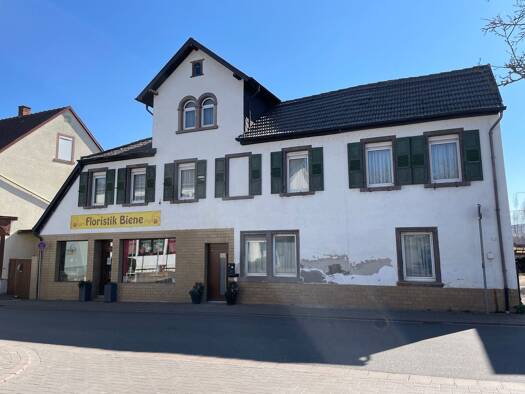 Haus zum Kauf 9 Zimmer 193 m² 972 m² Grundstück Albisheim 67308