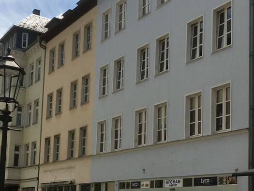 Haus zum Kauf 12 Zimmer 536 m² 250 m² Grundstück Zwickau 08056