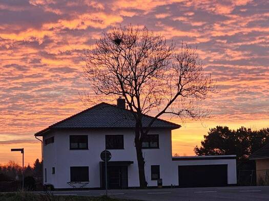 Villa zum Kauf 840.000 € 5 Zimmer 188 m² 1.402 m² Grundstück frei ab sofort Beelitz 14547