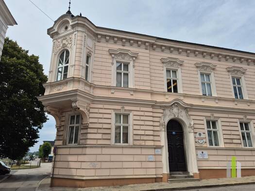 Mehrfamilienhaus zum Kauf 1.180.000 € 794 m² 1.337 m² Grundstück Mauthausen 4310