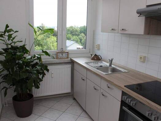 Wohnung zur Miete 248 € 1 Zimmer 40 m² EG Brückenstr. 37 Zentrum Chemnitz 09111