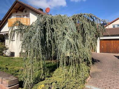 Wohnung zur Miete 850 € 3 Zimmer 63 m² Hochdorf Eberdingen 71735