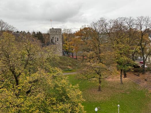 Wohnung zur Miete 850 € 2,5 Zimmer 64 m² Geschoss 5/6 frei ab sofort Aachen 52066