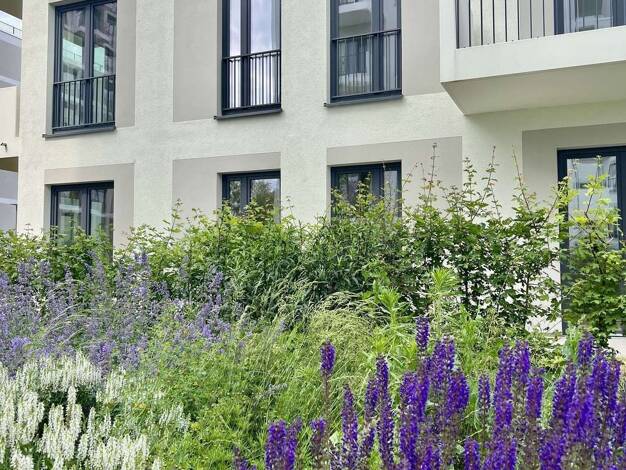 Wohnung zur Miete 1.216 € 2 Zimmer 51,2 m² 1. Geschoss Am Maselakepark Spandau Berlin 13587