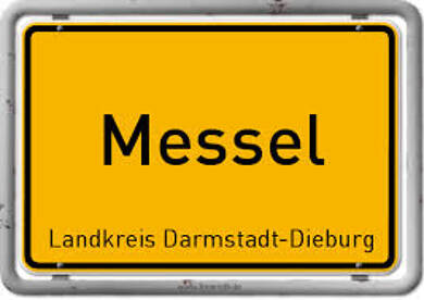 Haus zum Kauf provisionsfrei 644.600 € 120 m² 385 m² Grundstück Messel 64409