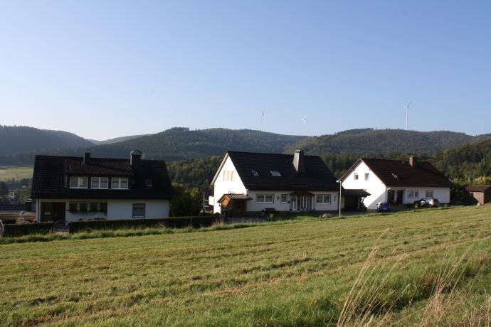 Grundstück zum Kauf provisionsfrei 105 € 600 m²<br/>Grundstück Dillstein Bad Laasphe Bad Laasphe 57334