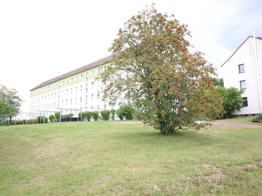 Wohnung zur Miete 300 € 3 Zimmer 62 m² frei ab sofort Ernst-Thälmann-Straße 12 Neumark Neumark 08496