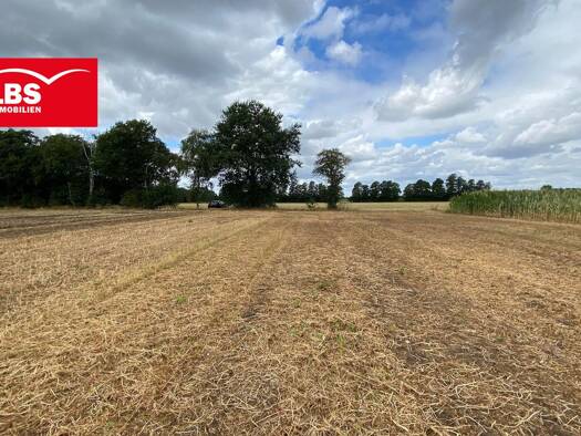 Land-/Forstwirtschaft zum Kauf 133.000 € 12.558 m² Grundstück Recke Recke 49509