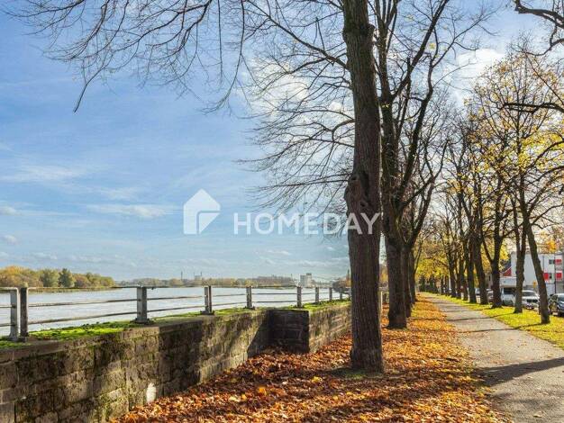 Wohnung zum Kauf 299.000 € 2 Zimmer 60,4 m² 3. Geschoss Niehl Köln 50735