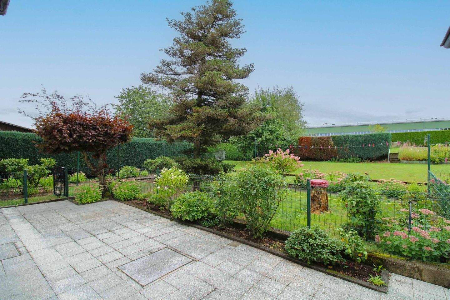 Immobilie in Driedorf - Ein Zuhause voller Wärme und M��glichkeiten - großzügiges Einfamilienhaus mit Traumgarten in Driedorf - Bild 4