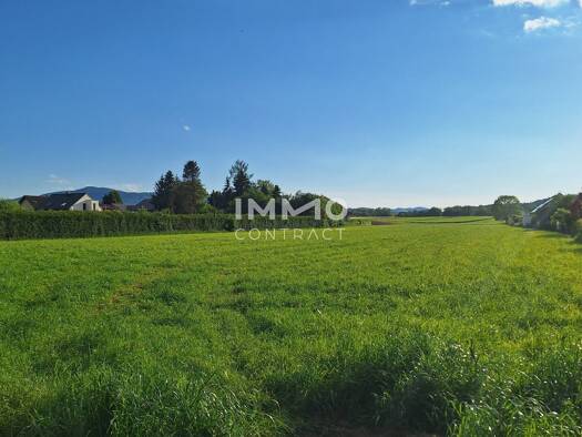 Land-/Forstwirtschaft zum Kauf 7.599 m² Grundstück Purgstall an der Erlauf 3251