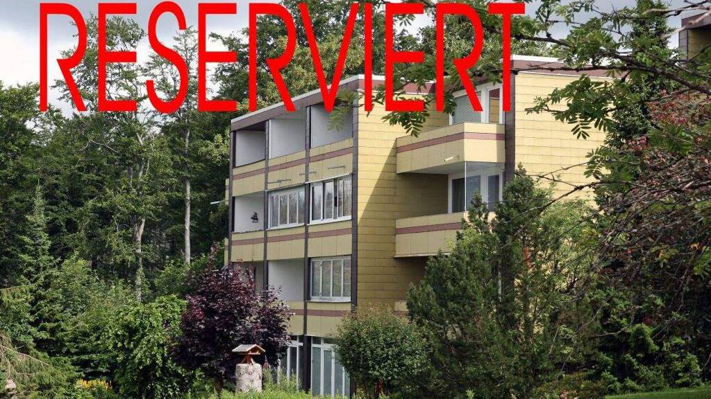 Studio zum Kauf 26.000 € 1 Zimmer 32 m² frei ab sofort St. Andreasberg Harz 37444