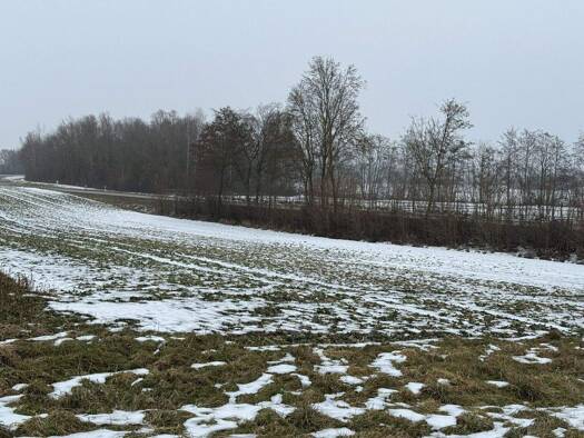 Land-/Forstwirtschaft zum Kauf 35.657 € 2.026 m² Grundstück Wörth Wörth an der Isar 84109