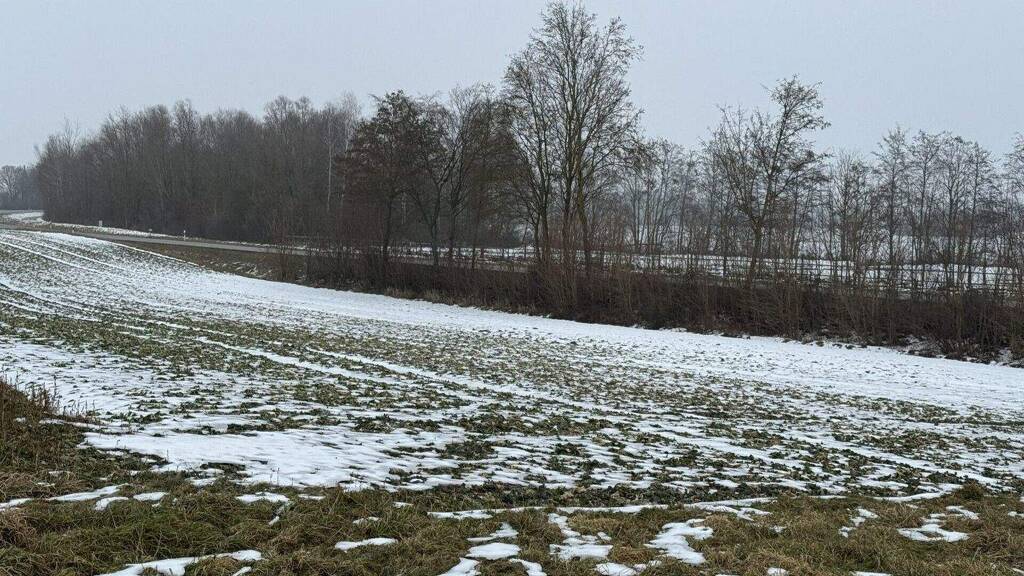 Land-/Forstwirtschaft zum Kauf 35.657 € 2.026 m² Grundstück Wörth Wörth an der Isar 84109