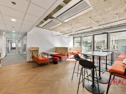 Bürofläche zur Miete 14,50 € 1.387 m² Bürofläche Wien 1220