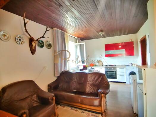 Einfamilienhaus zum Kauf 69.000 € 4 Zimmer 2.000 m² Grundstück Skrad 51311