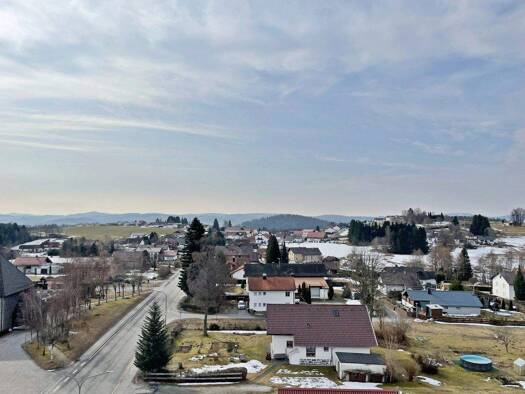 Studio zum Kauf 29.800 € 1 Zimmer 38 m² 7. Geschoss frei ab sofort Altreichenau Neureichenau 94089