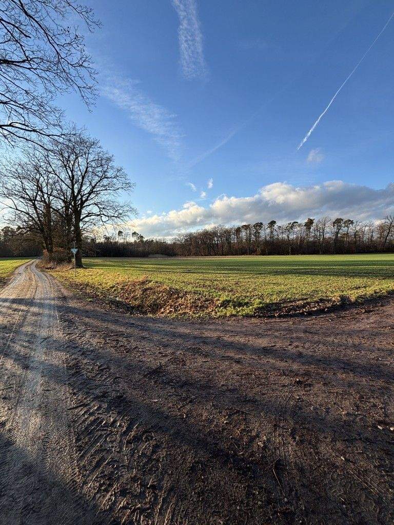 Landwirtschaftliche Fläche zum Kauf - Ansicht 3