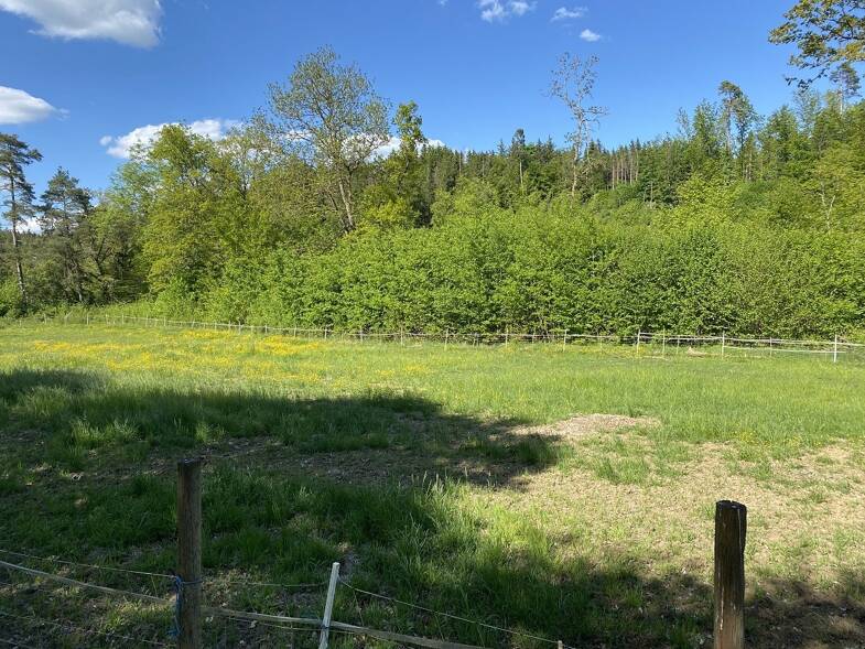Land-/Forstwirtschaft zum Kauf 48.000 € 17.817 m² Grundstück Rohrdorf Meßkirch 88605