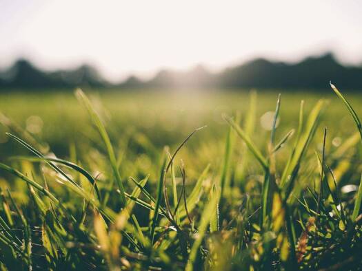 Grundstück zum Kauf 798.000 € 400 m² Grundstück Pasing-Obermenzing München 81241