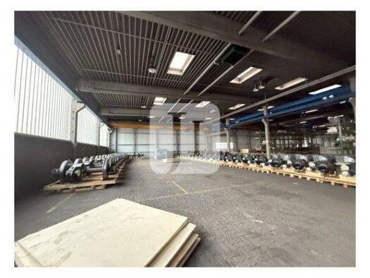 Lagerhalle zur Miete 7.800 m² Lagerfläche teilbar ab 7.800 m² Büdelsdorf 24782