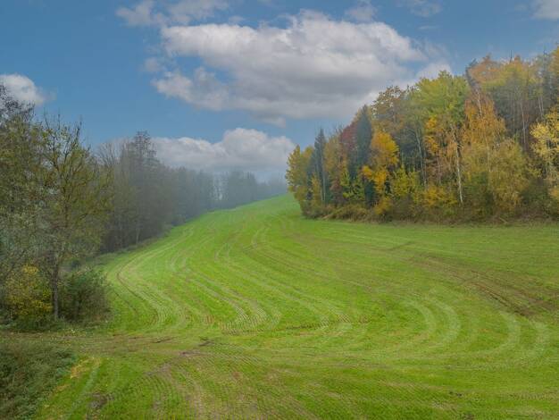 Land-/Forstwirtschaft zum Kauf 164.925 € 21.990 m² Grundstück Kößlarn 94149