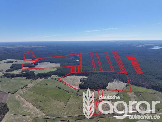 Land-/Forstwirtschaft zum Kauf 1.950.000 € 1.872.890 m² Grundstück Zempow Wittstock/Dosse 16909