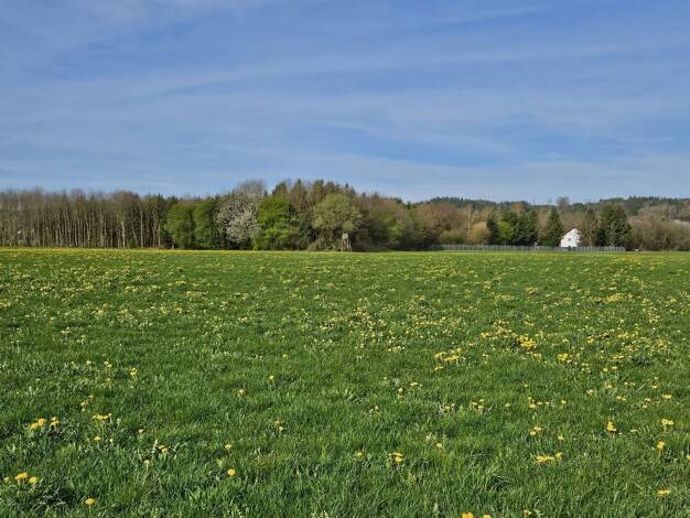 Bauernhaus zum Kauf provisionsfrei 949.000 € 7 Zimmer 300 m² 7.000 m² Grundstück Aichstetten Aichstetten 88317