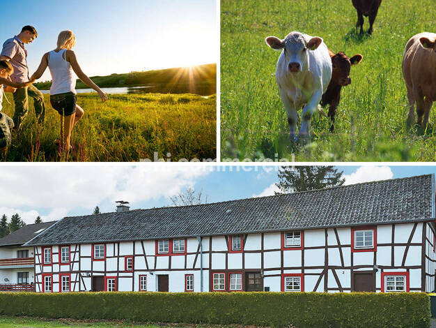 Mehrfamilienhaus zum Kauf als Kapitalanlage geeignet 439.000 € 340 m² 1.351 m² Grundstück Konzen Monschau 52156