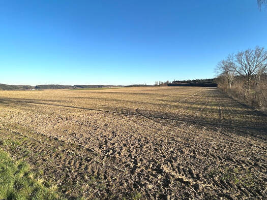 Land-/Forstwirtschaft zum Kauf 259.000 € 32.265 m² Grundstück Waltenhausen Waltenhausen / Hairenbuch 86480