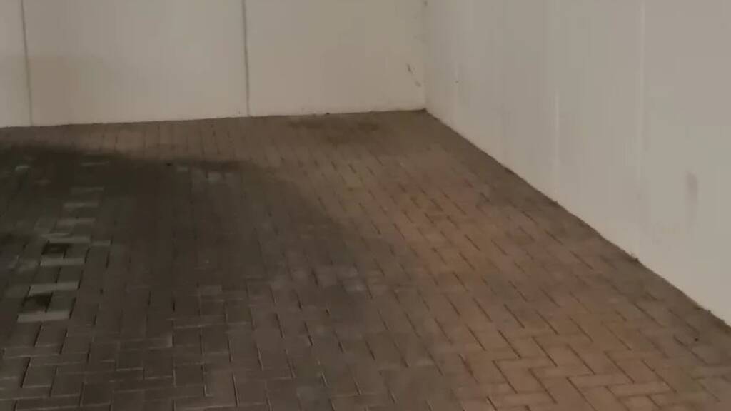 Garage zum Kauf provisionsfrei 15.000 € Weismark-Feyen Trier 54290