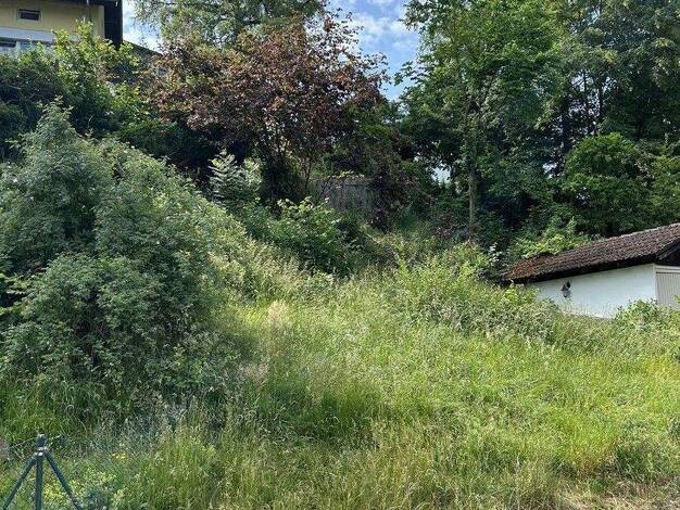 Grundstück zum Kauf provisionsfrei 449.000 € 272 m² Grundstück Feldafing 82340