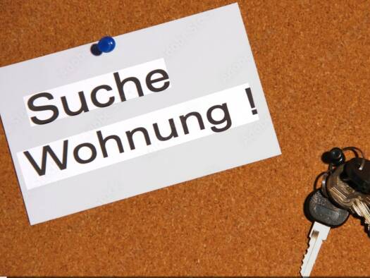 Wohnung zur Miete 700 € 2 Zimmer 55 m² frei ab 25.04.2026 Weingarten 88250