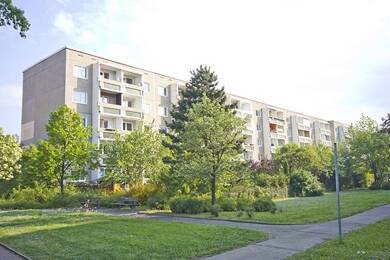 Wohnung zur Miete 282 € 3 Zimmer 56,2 m² 2. Geschoss frei ab 01.06.2025 Reusenweg 3 Heide Nord Halle (Saale) 06120