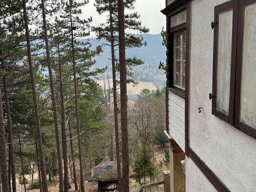 Grundstück zum Kauf provisionsfrei 780.000 € 9.500 m² Grundstück Ziegenhainer Oberweg 48 Ziegenhain Jena 07749