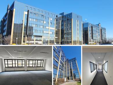 Bürofläche zur Miete 5.427 € 14 Zimmer 618,5 m² Bürofläche Seehausen Leipzig 04356