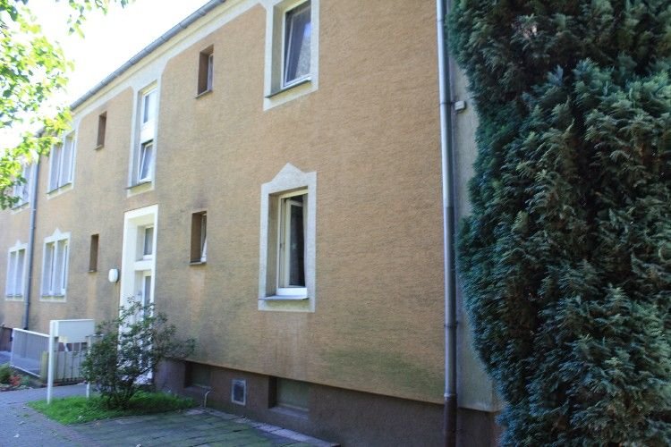 Wohnung zur Miete 311 € 2,5 Zimmer 47,1 m²<br/>Wohnfläche 1.<br/>Geschoss Drosselstraße 37 Suderwich Recklinghausen 45665