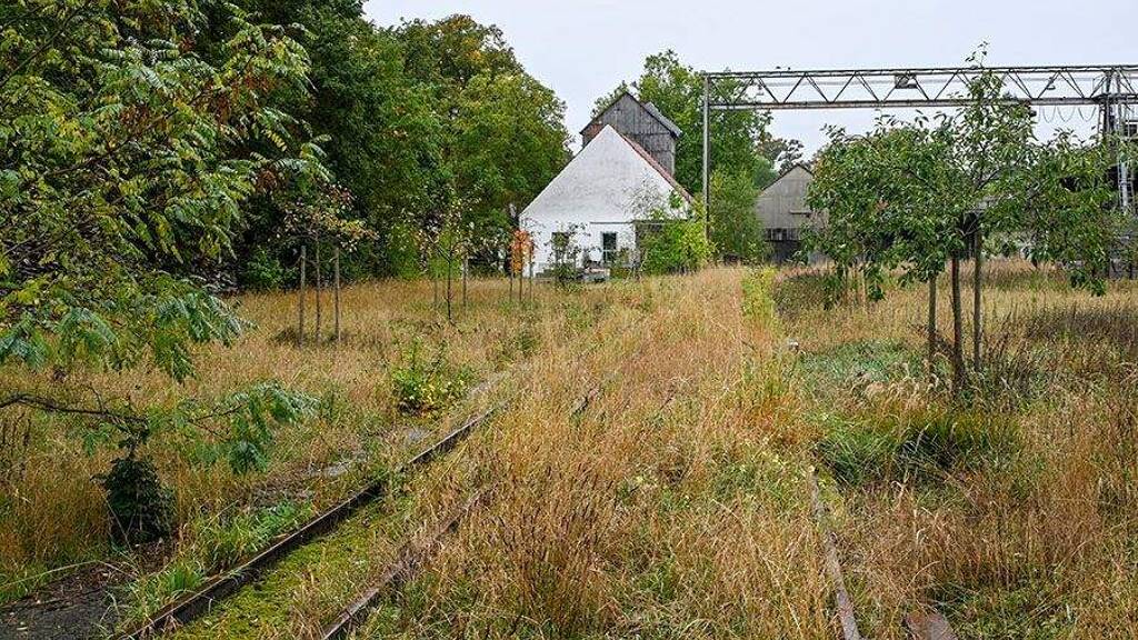 Gewerbegrundstück zum Kauf 500.000 € 12.500 m² Grundstück Wehe Rahden, Westfalen 32369