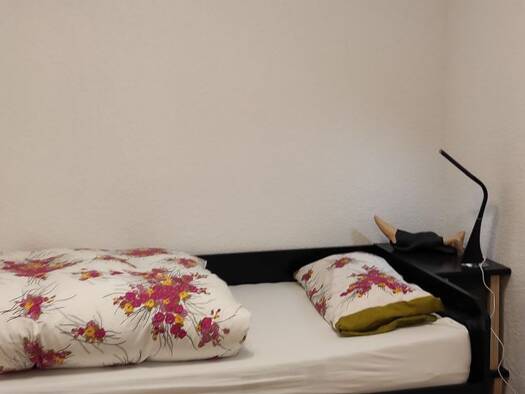 Wohnung zur Miete 550 € 2 Zimmer 26 m² Geschoss 1/2 frei ab sofort Heppenheim 64646